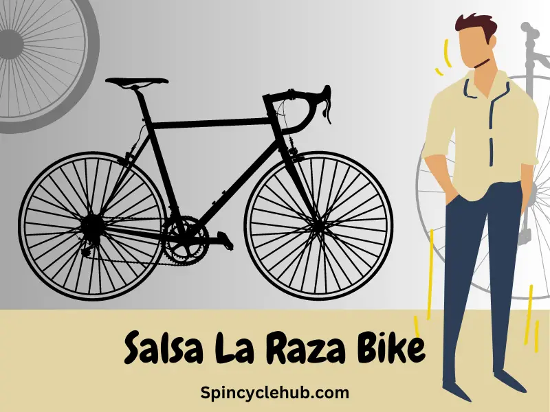 Salsa La Raza Bike