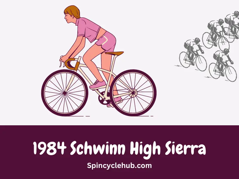 1984 Schwinn High Sierra