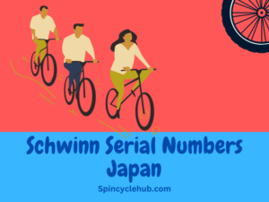 Schwinn serial number discount lookup