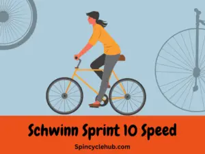 Schwinn Sprint 10 Speed