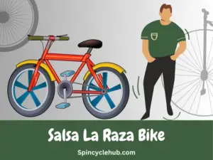 Salsa La Raza Bike
