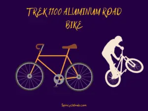 Trek 1100 Aluminum Road Bike