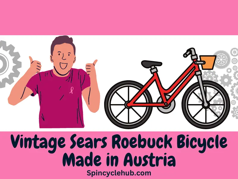 Sears discount roebuck bike