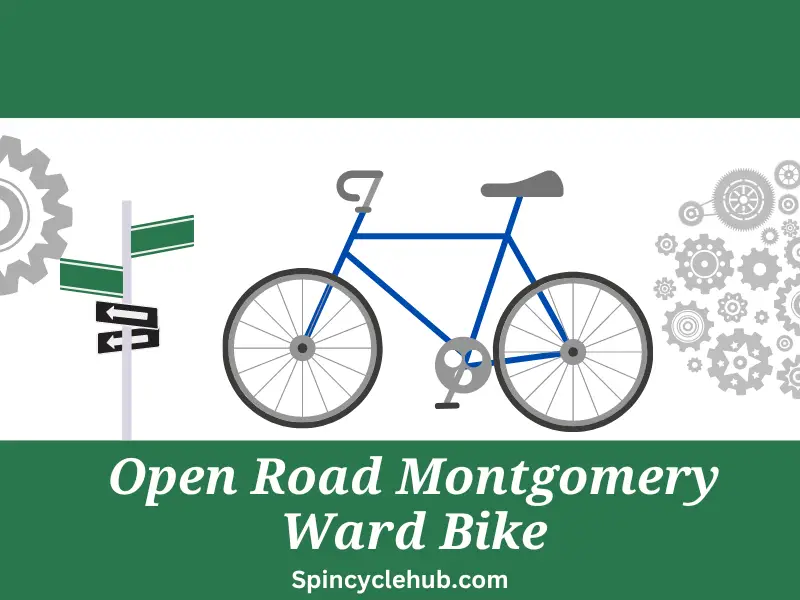 Open Road Montgomery Ward Bike