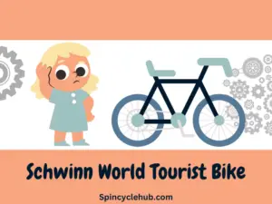 Schwinn World Tourist Bike