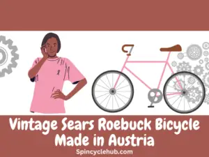 Vintage Sears Roebuck Bicycle Made in Austria