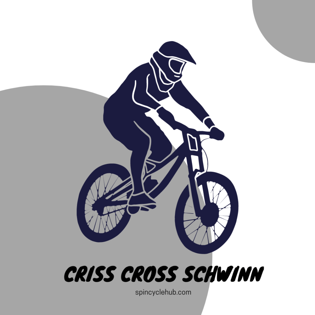 criss cross schwinn