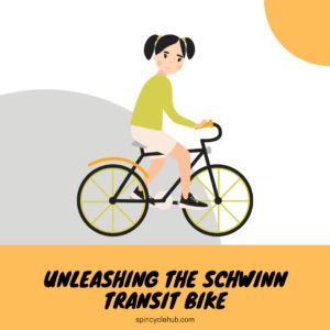 schwinn transit bike