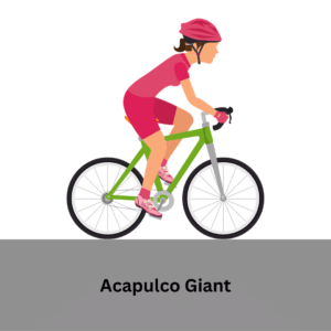 acapulco giant