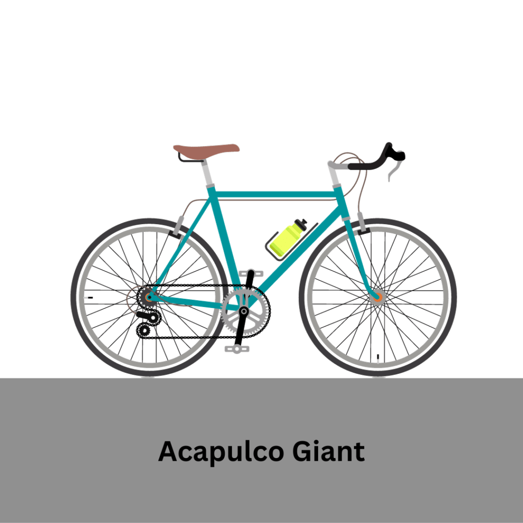 acapulco giant