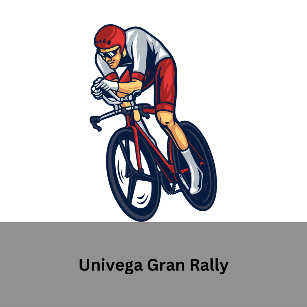 univega gran rally