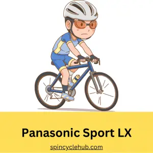 Exploring the Panasonic Sport LX