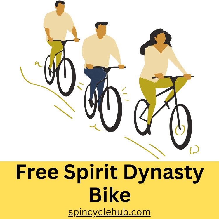 Free Spirit Dynasty Bike