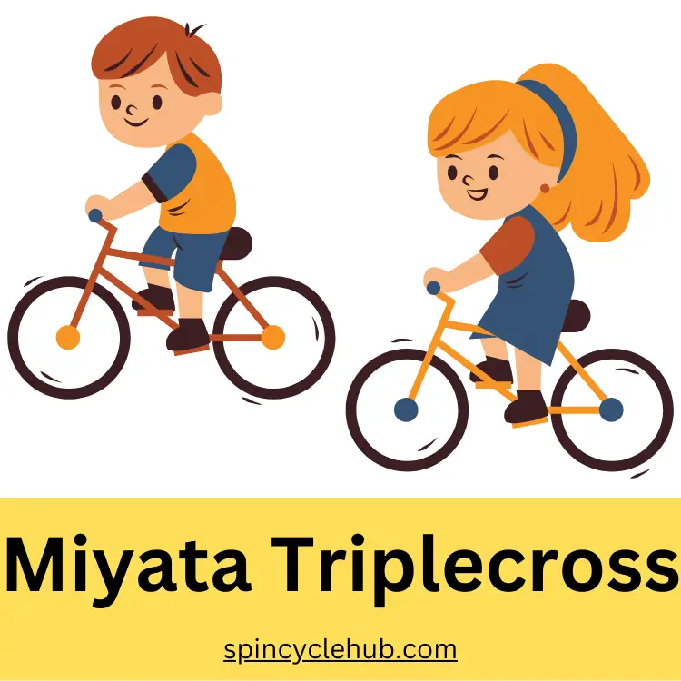 Miyata Triplecross