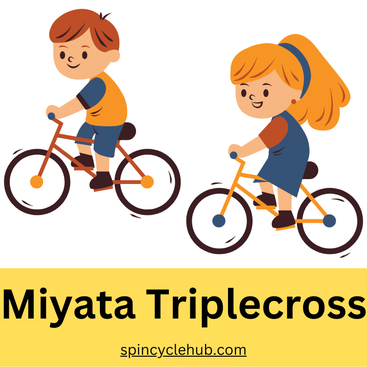 Miyata best sale triple cross