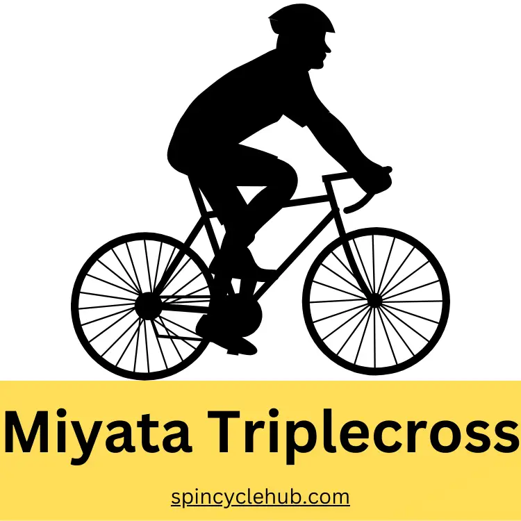 Miyata Triplecross