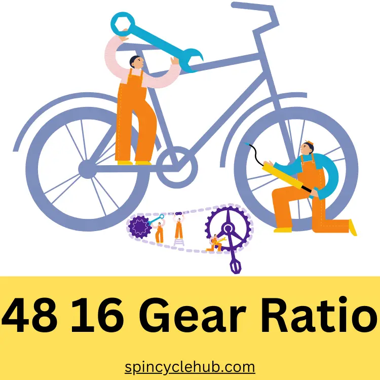 48 16 Gear Ratio