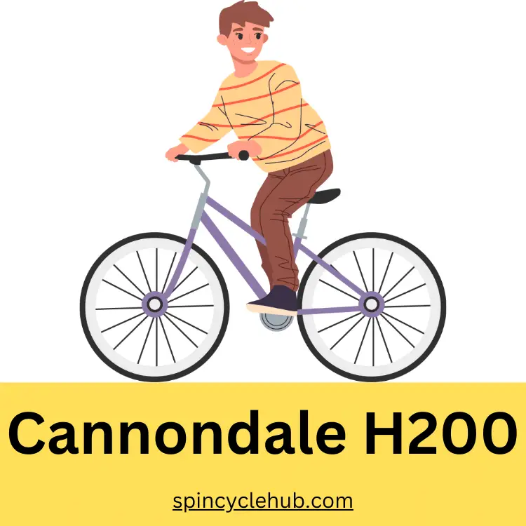 Cannondale H200