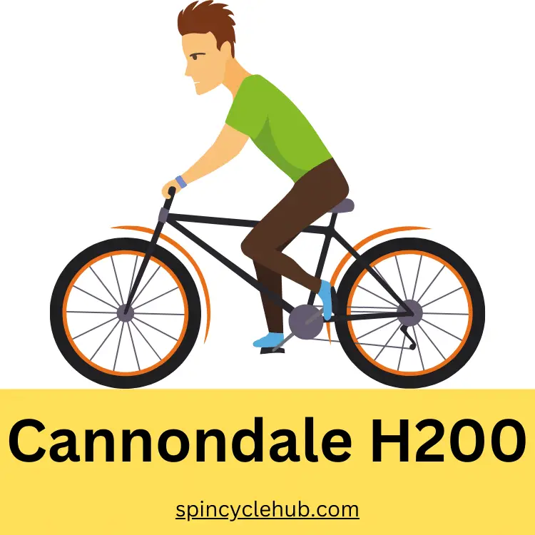 Cannondale H200