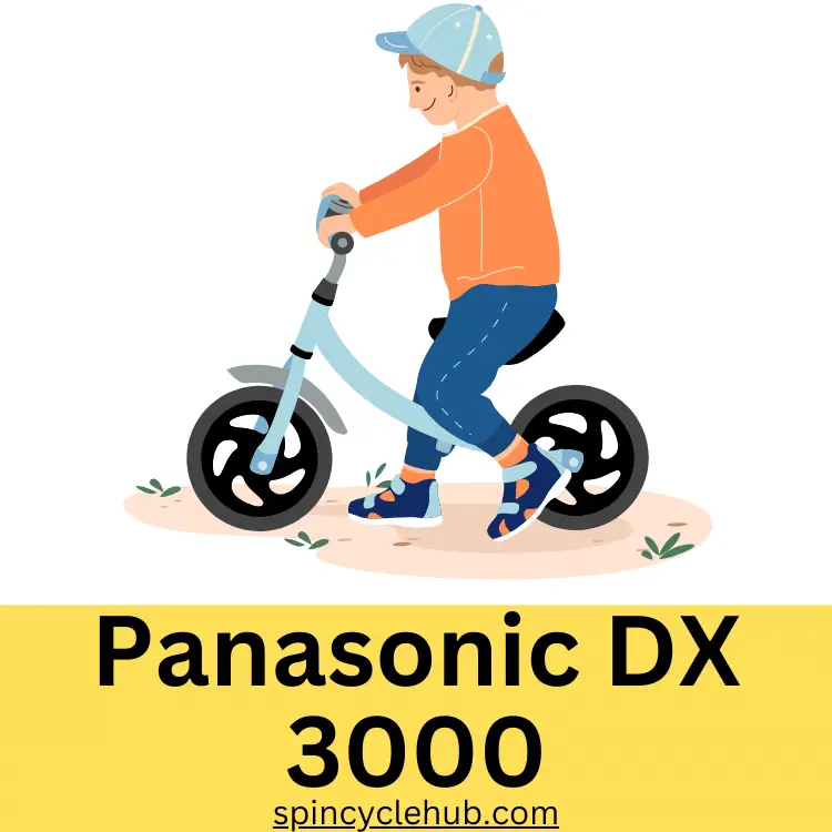 Panasonic DX 3000