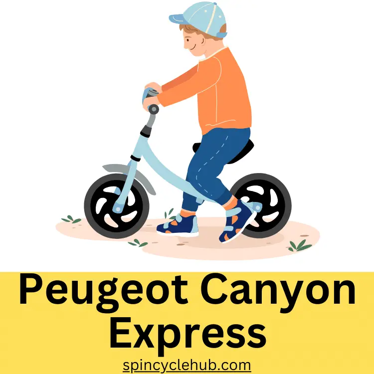 Peugeot Canyon Express