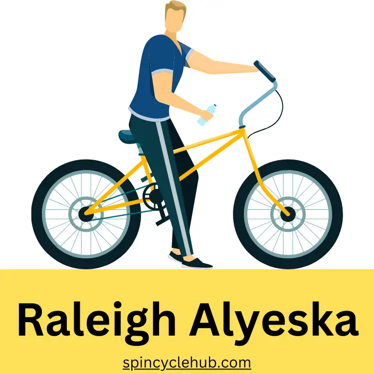 Raleigh Alyeska