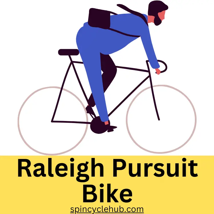 Raleigh Pursuit Bike