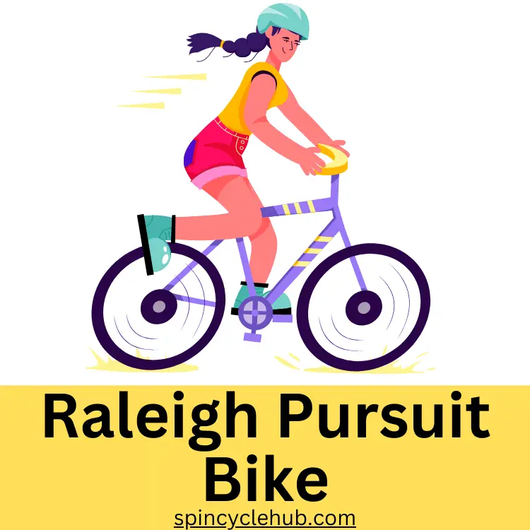 Raleigh Pursuit Bike