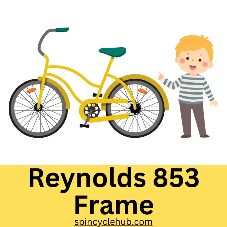 Reynolds 853 Frame