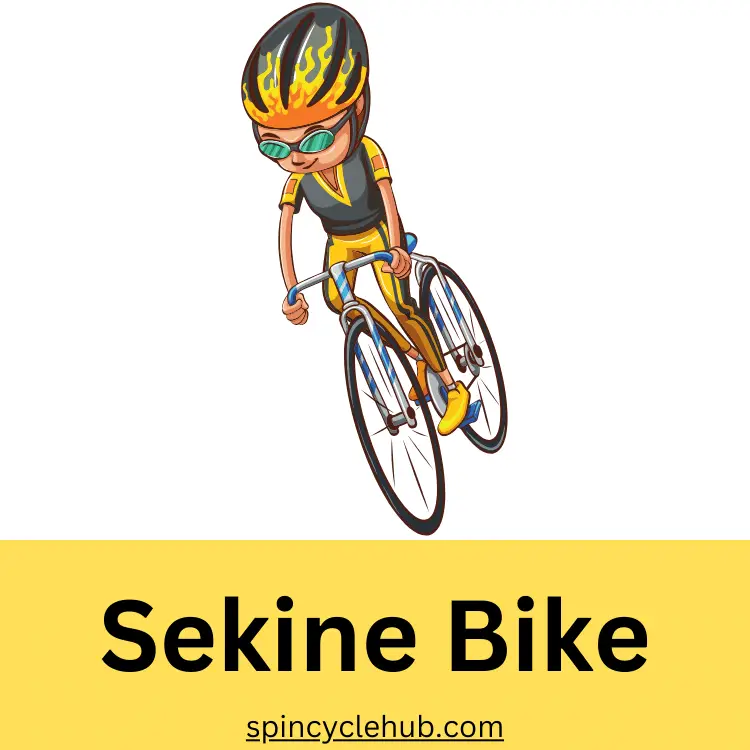 Sekine Bike