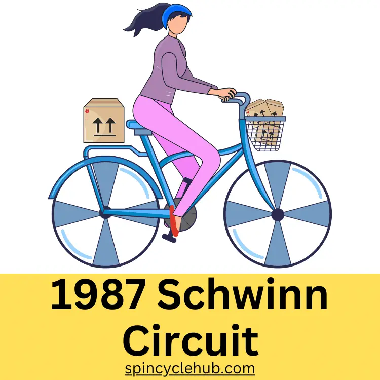 1987 Schwinn Circuit