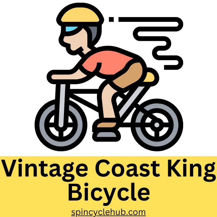 Vintage Coast King Bicycle