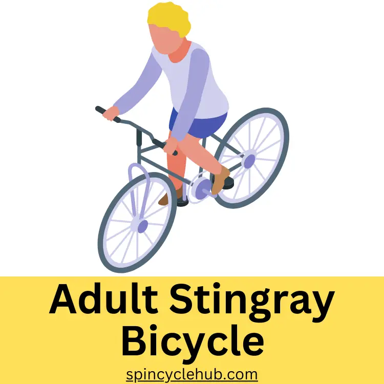 Adult Stingray Bicycle