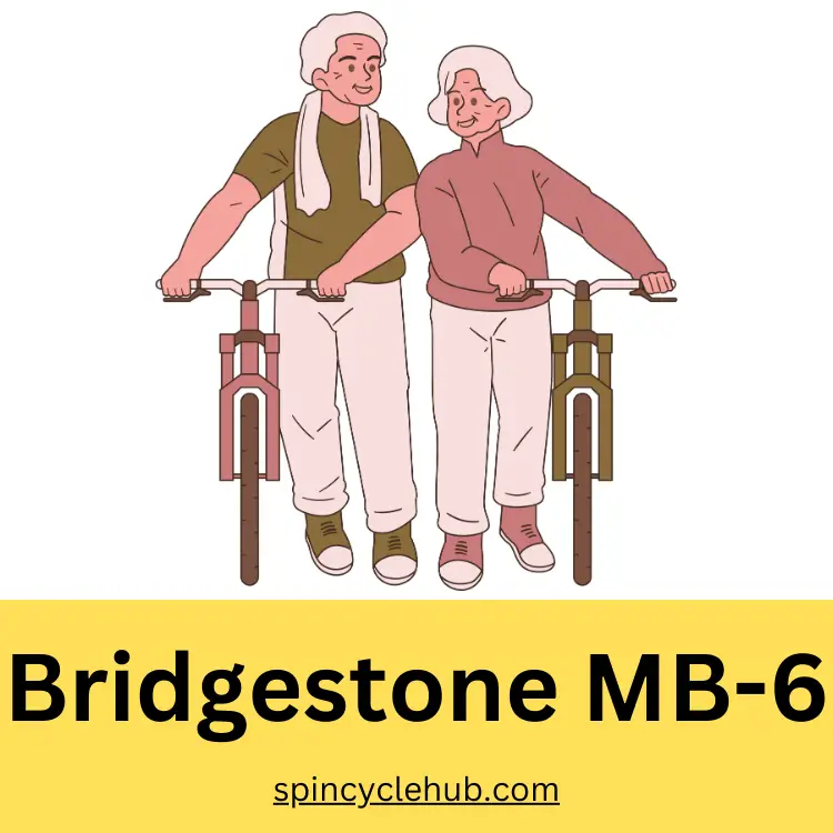 Bridgestone MB-6