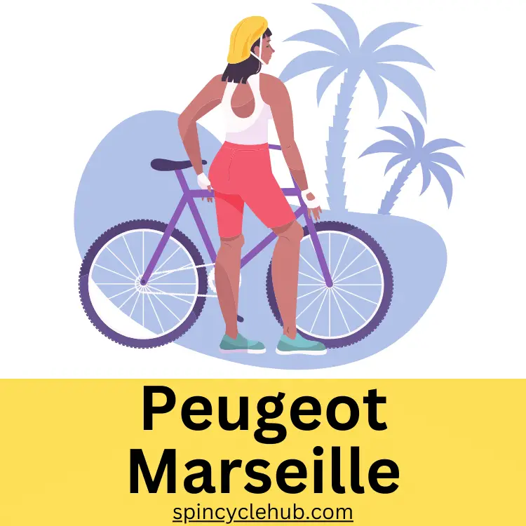 Peugeot Marseille