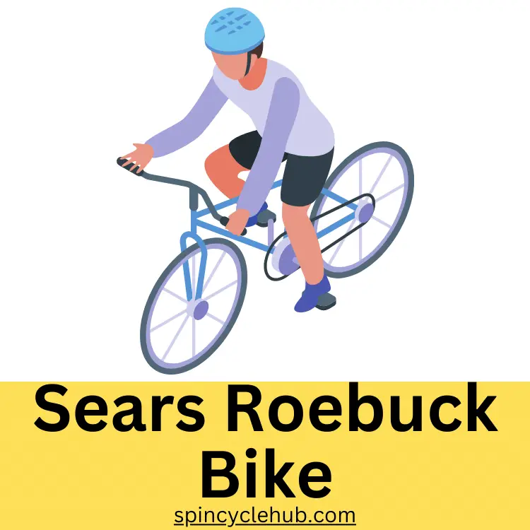 Sears Roebuck Bike
