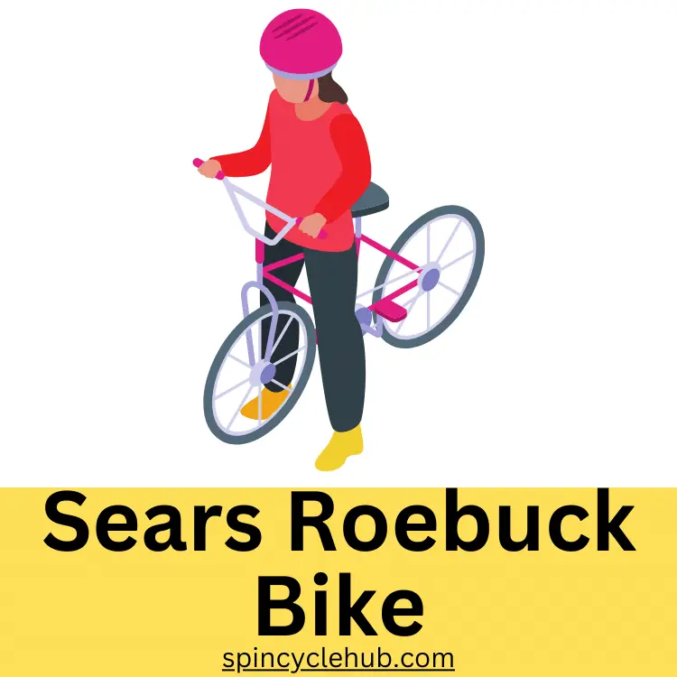 Sears Roebuck Bike