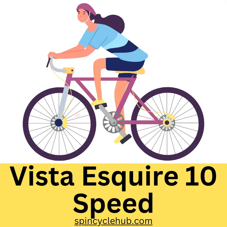 Vista Esquire 10 Speed